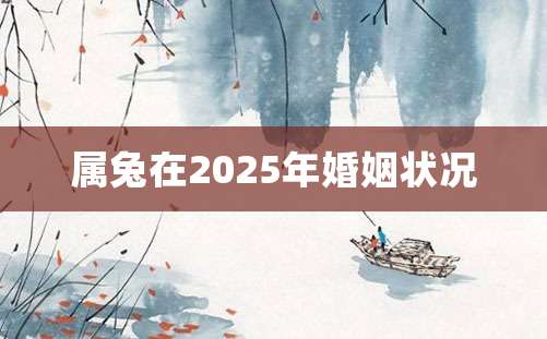 属兔在2025年婚姻状况