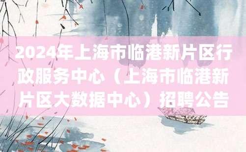 2024年上海市临港新片区行政服务中心（上海市临港新片区大数据中心）招聘公告