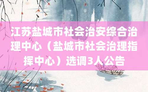 江苏盐城市社会治安综合治理中心（盐城市社会治理指挥中心）选调3人公告