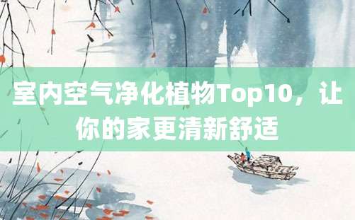 室内空气净化植物Top10，让你的家更清新舒适