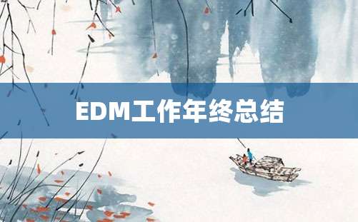 EDM工作年终总结