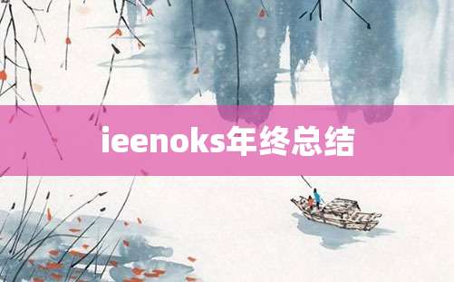 ieenoks年终总结