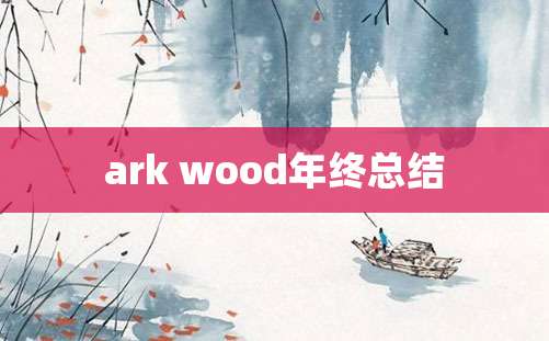 ark wood年终总结