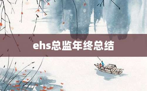 ehs总监年终总结