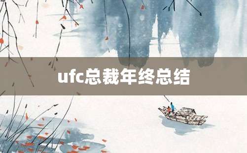 ufc总裁年终总结