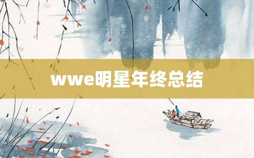 wwe明星年终总结