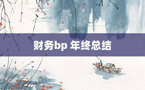 财务bp 年终总结