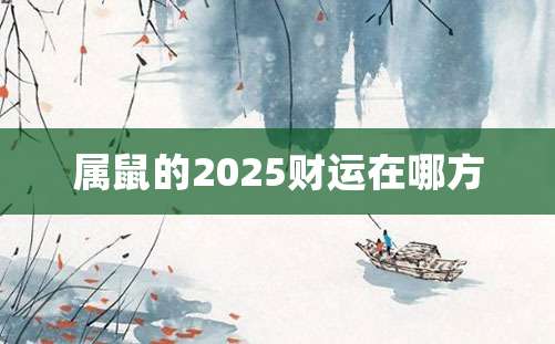 属鼠的2025财运在哪方