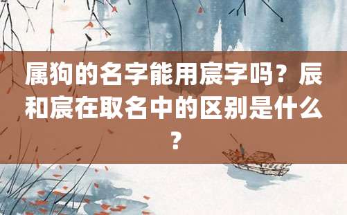 属狗的名字能用宸字吗？辰和宸在取名中的区别是什么？