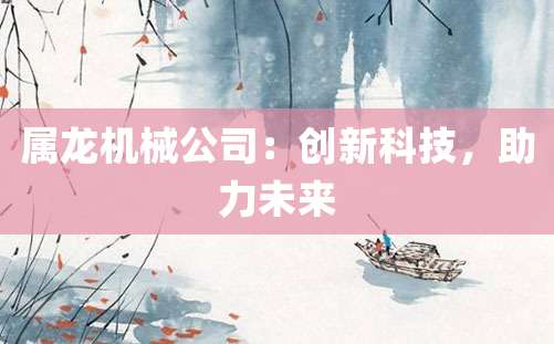 属龙机械公司：创新科技，助力未来