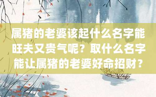 属猪的老婆该起什么名字能旺夫又贵气呢？取什么名字能让属猪的老婆好命招财？